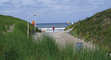 Pad door de duinen