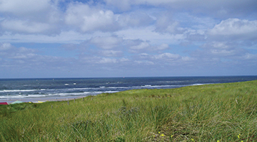Zee gezien vanaf de groene duinen bij Wijk aan Zee
